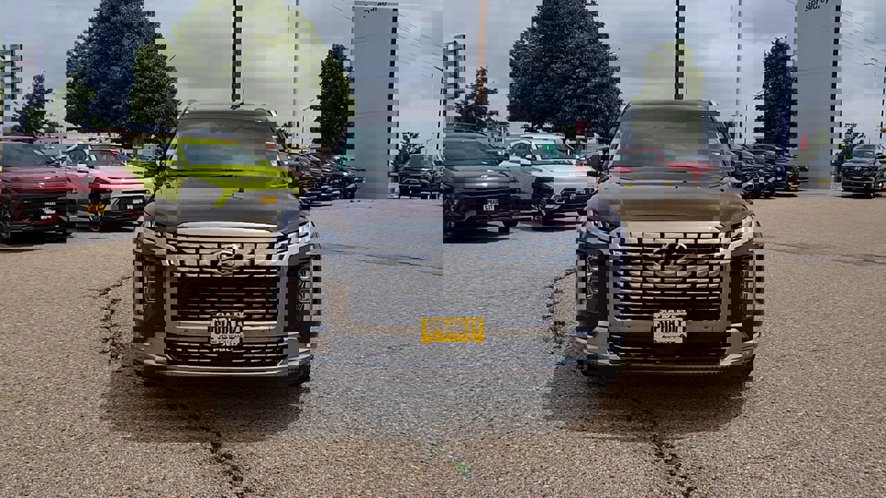 2024 Hyundai Palisade Calligraphy photo 3