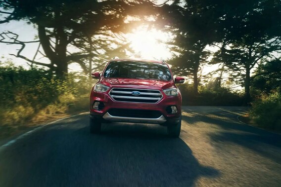 Shop 2019 Ford Escape In Springfield Pa Springfield Ford