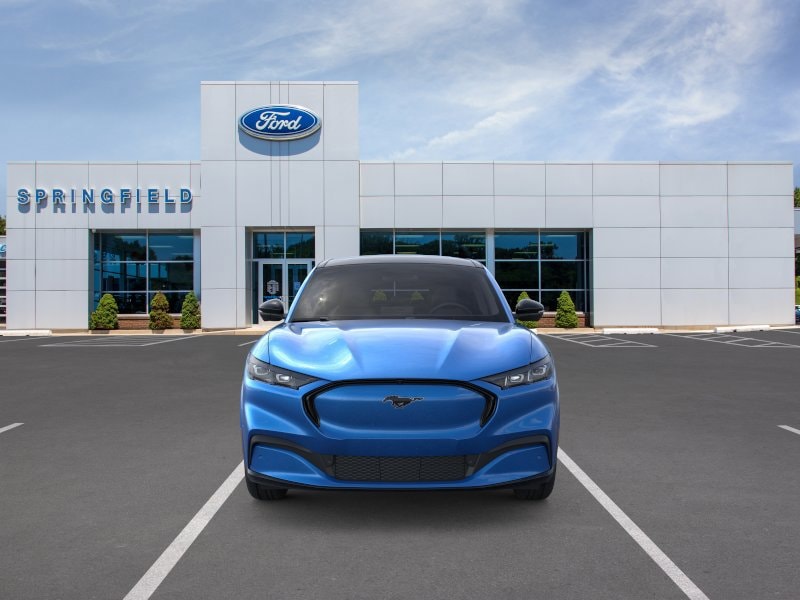 2025 Ford Mustang Mach-E Premium - Photo 6