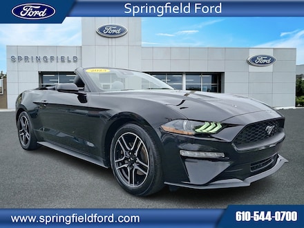 2023 Ford Mustang Ecoboost Premium Convertible