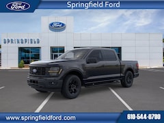 2025 Ford F-150 STX TRUCK