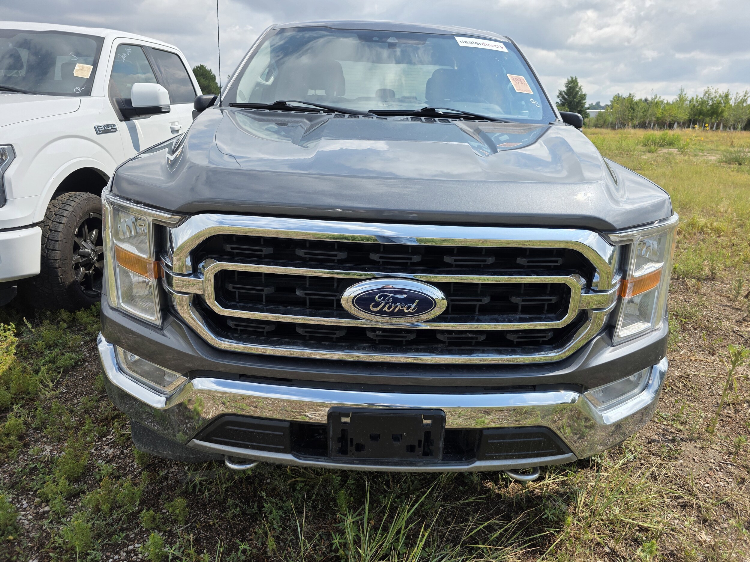 2021 Ford F-150 photo 2
