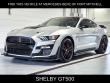 Used 2021 Ford Shelby GT500  Coupe