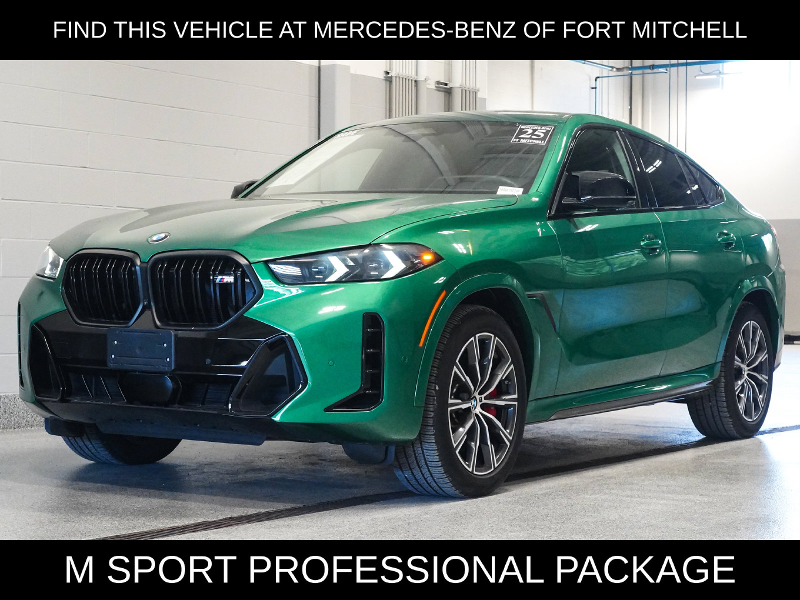 2025 BMW X6 M60i