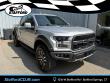 Used 2019 Ford F-150 Raptor Truck