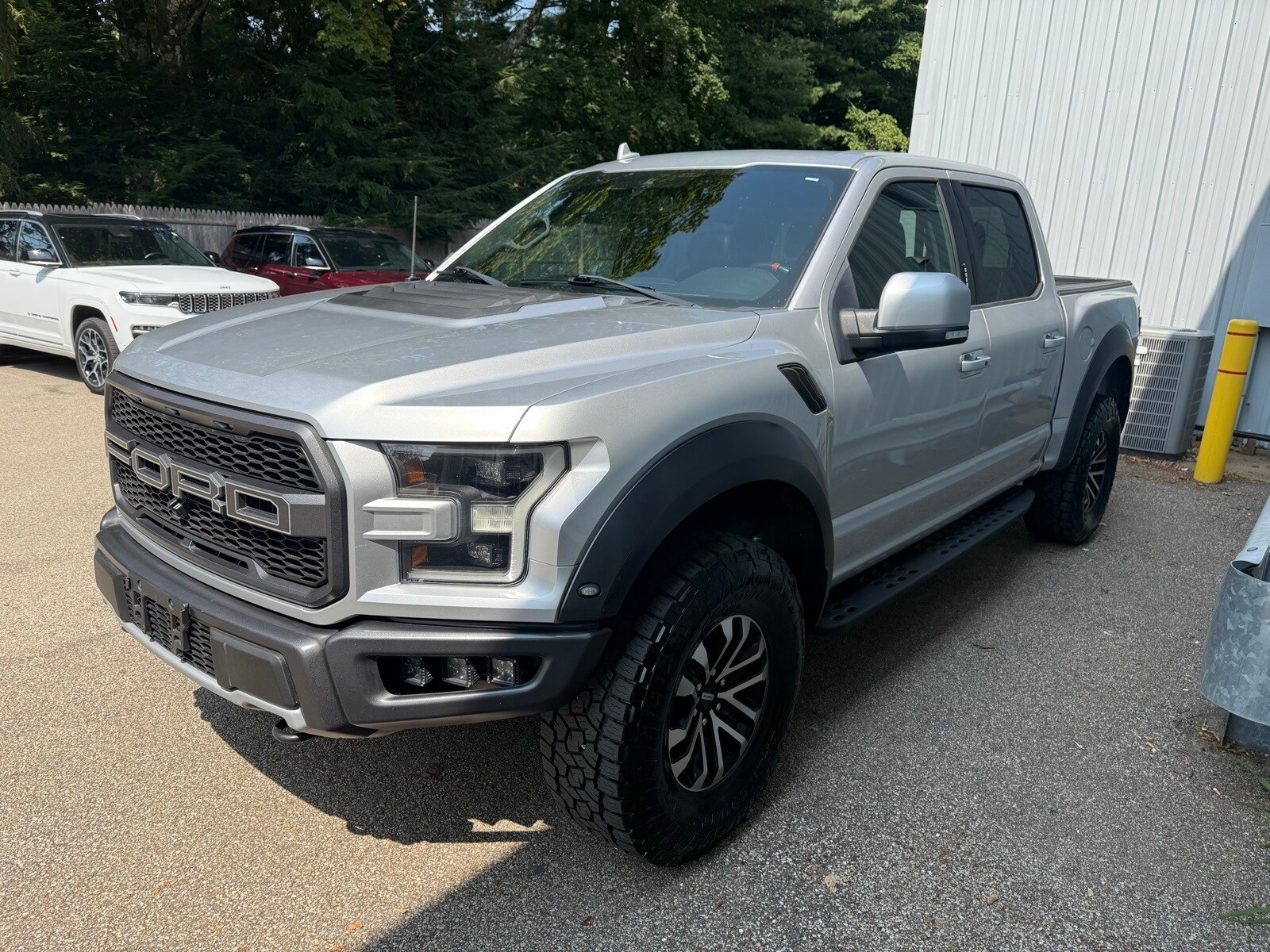 2019 Ford F-150 Raptor photo 3
