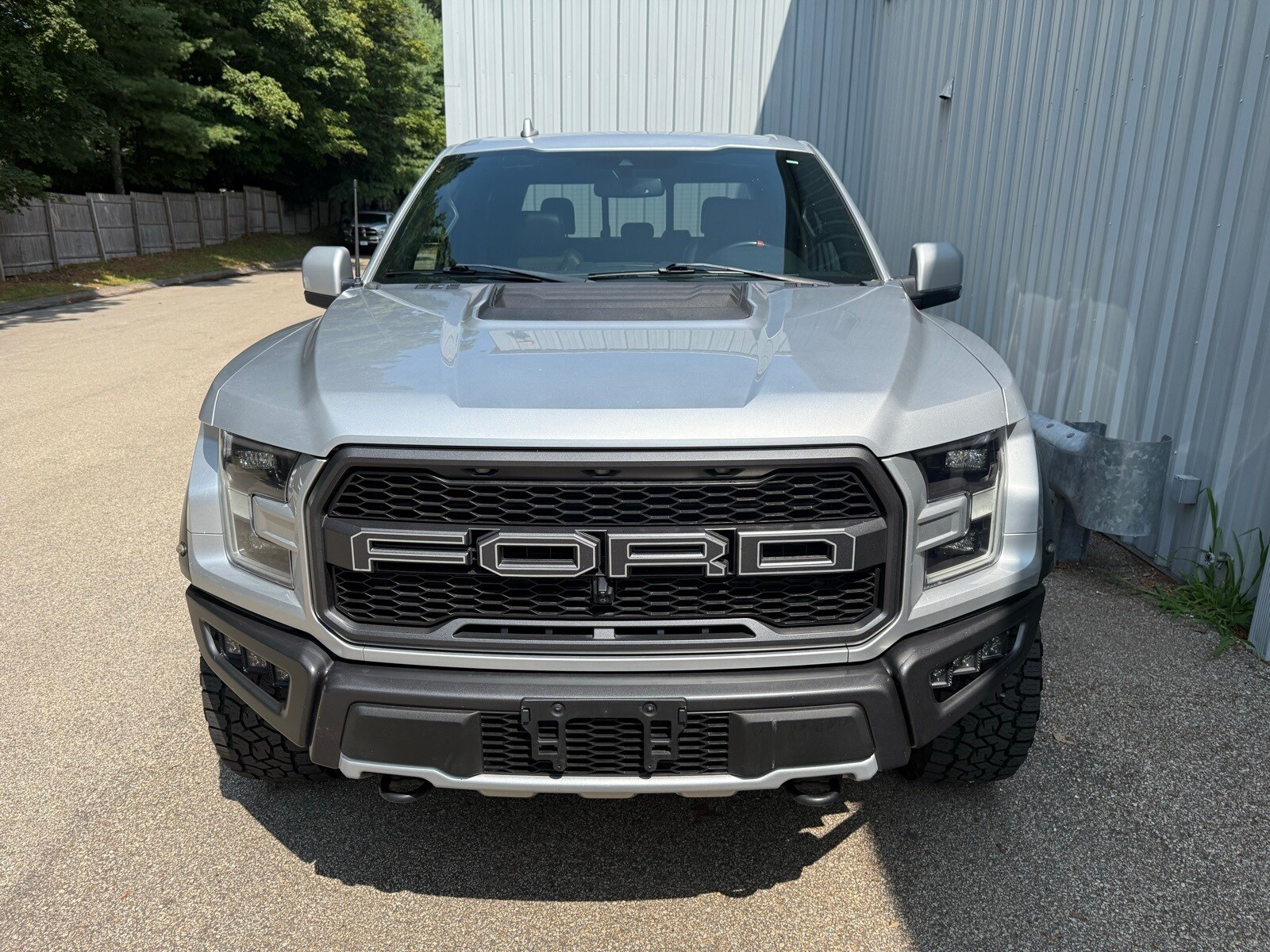 2019 Ford F-150 Raptor photo 2