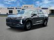 New 2025 Hyundai Palisade Calligraphy Night Edition AWD AWD