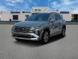 New 2025 Hyundai Tucson Limited AWD AWD
