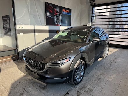 2025 Mazda CX-30 2.5 S Premium AWD Sport Utility