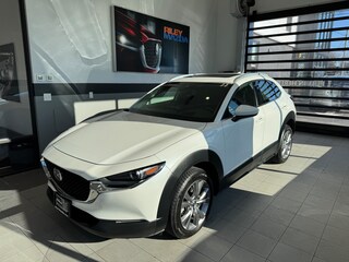 2021 Mazda Mazda CX-30 Premium Package SUV