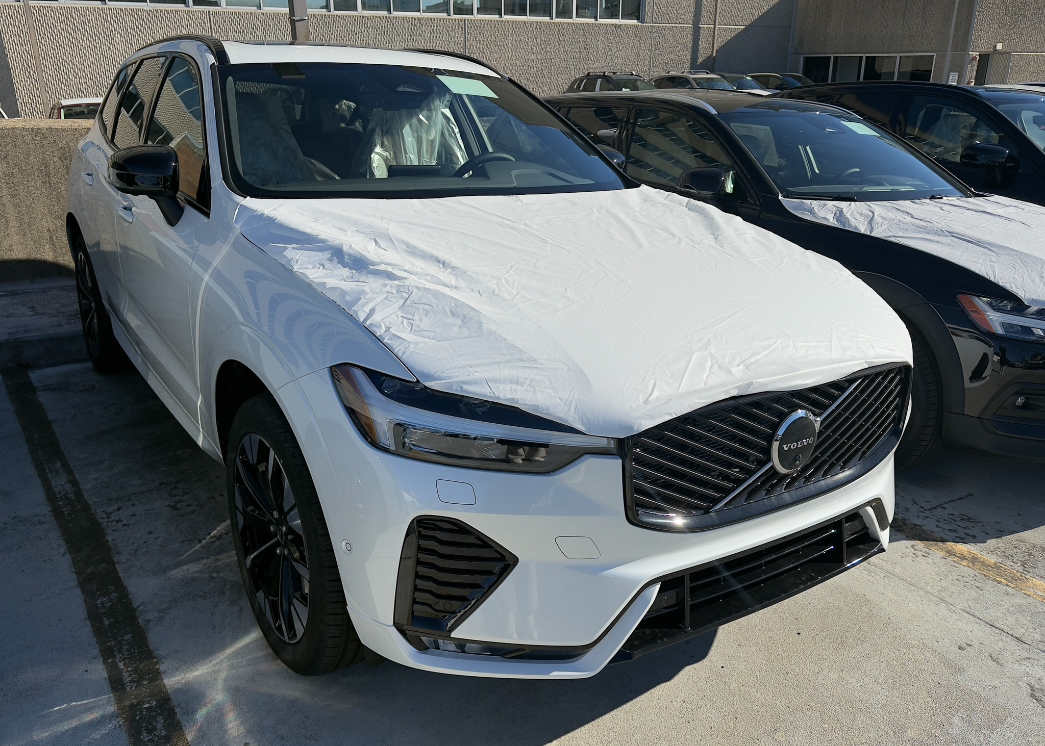 2026 Volvo XC60 Plus's photo