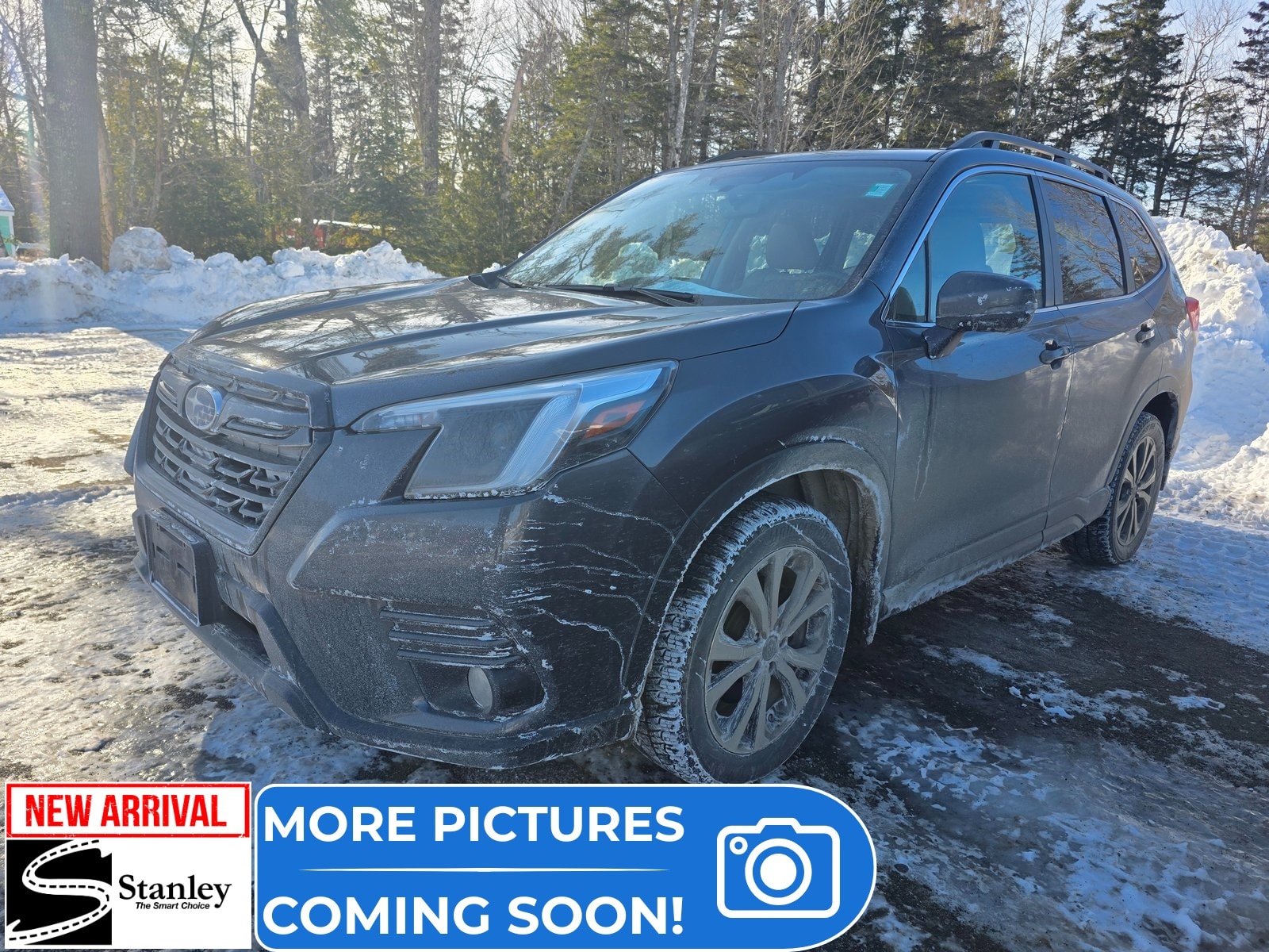 2023 Subaru Forester Limited
