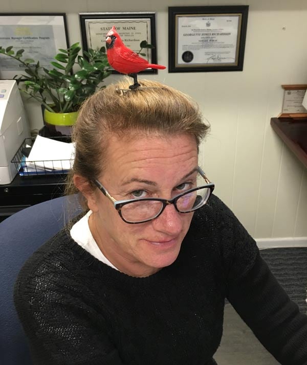 Geddy with a northern cardinal hair clip
