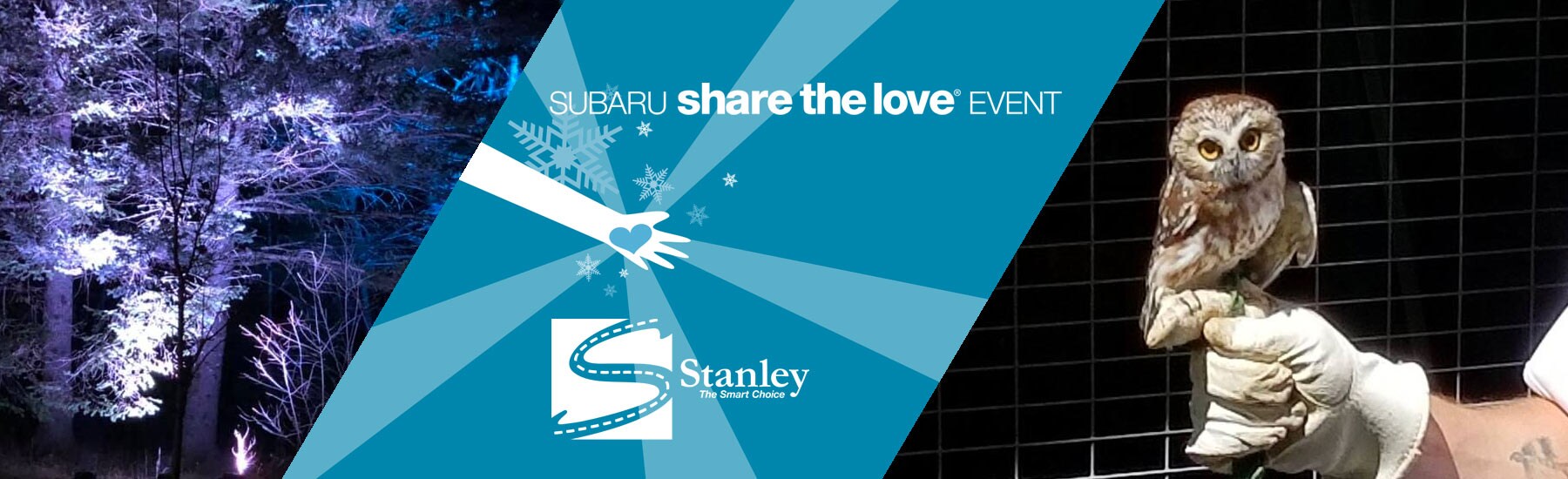 Banner for Share the Love in 2021 featuring a lights display at the Beth C Wright Cancer Resource Center and an owl at Birdsacre, the Stanwood Wildlife Sanctuary