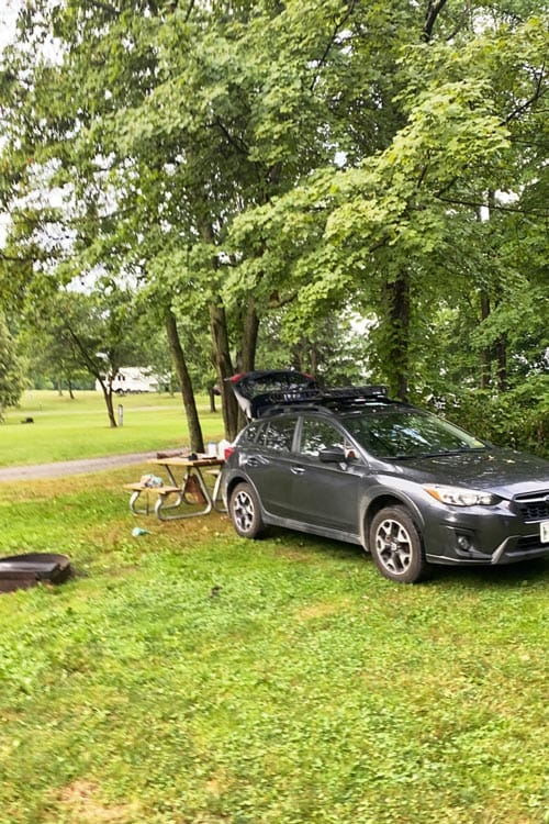 Crosstrek in a grassy and forested area