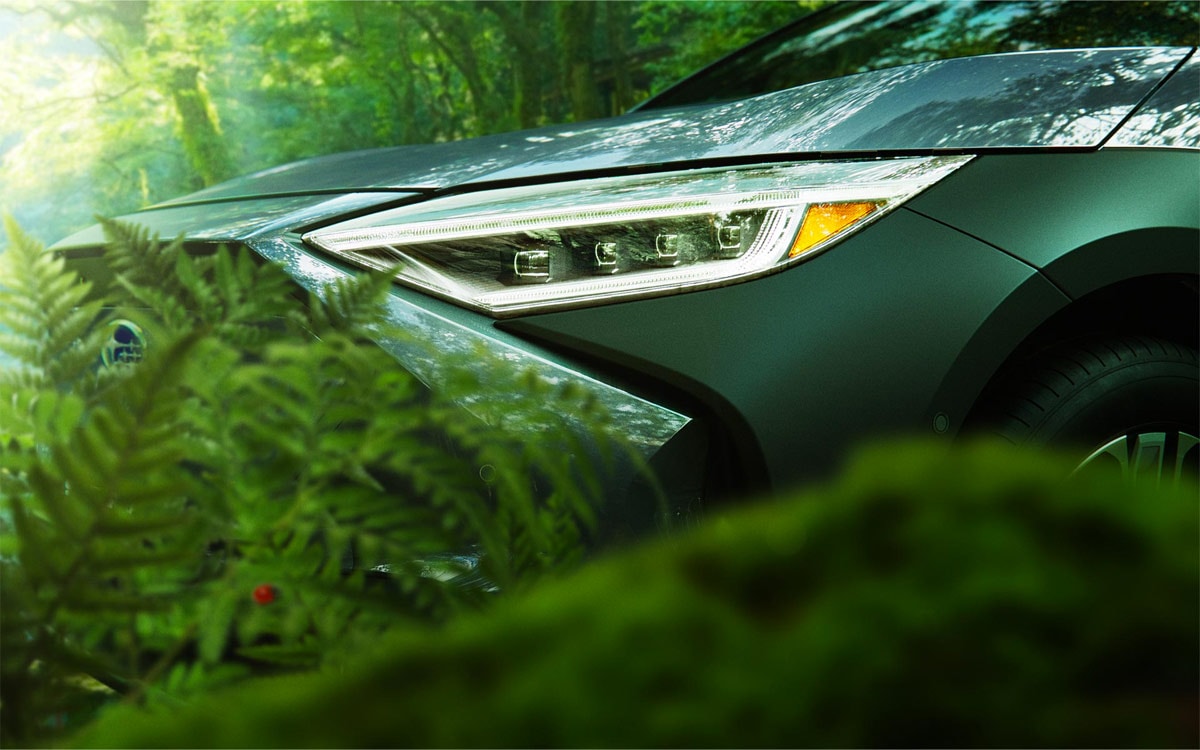 Solterra headlight behind some ferns