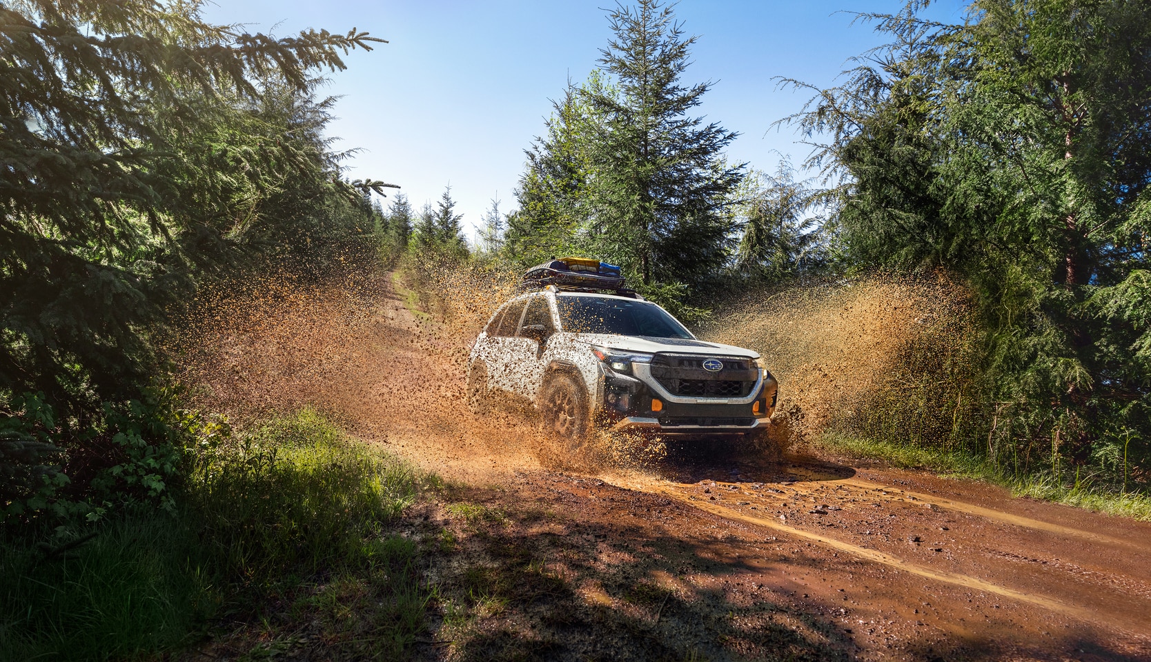Subaru Forester Wilderness driving through deep snow