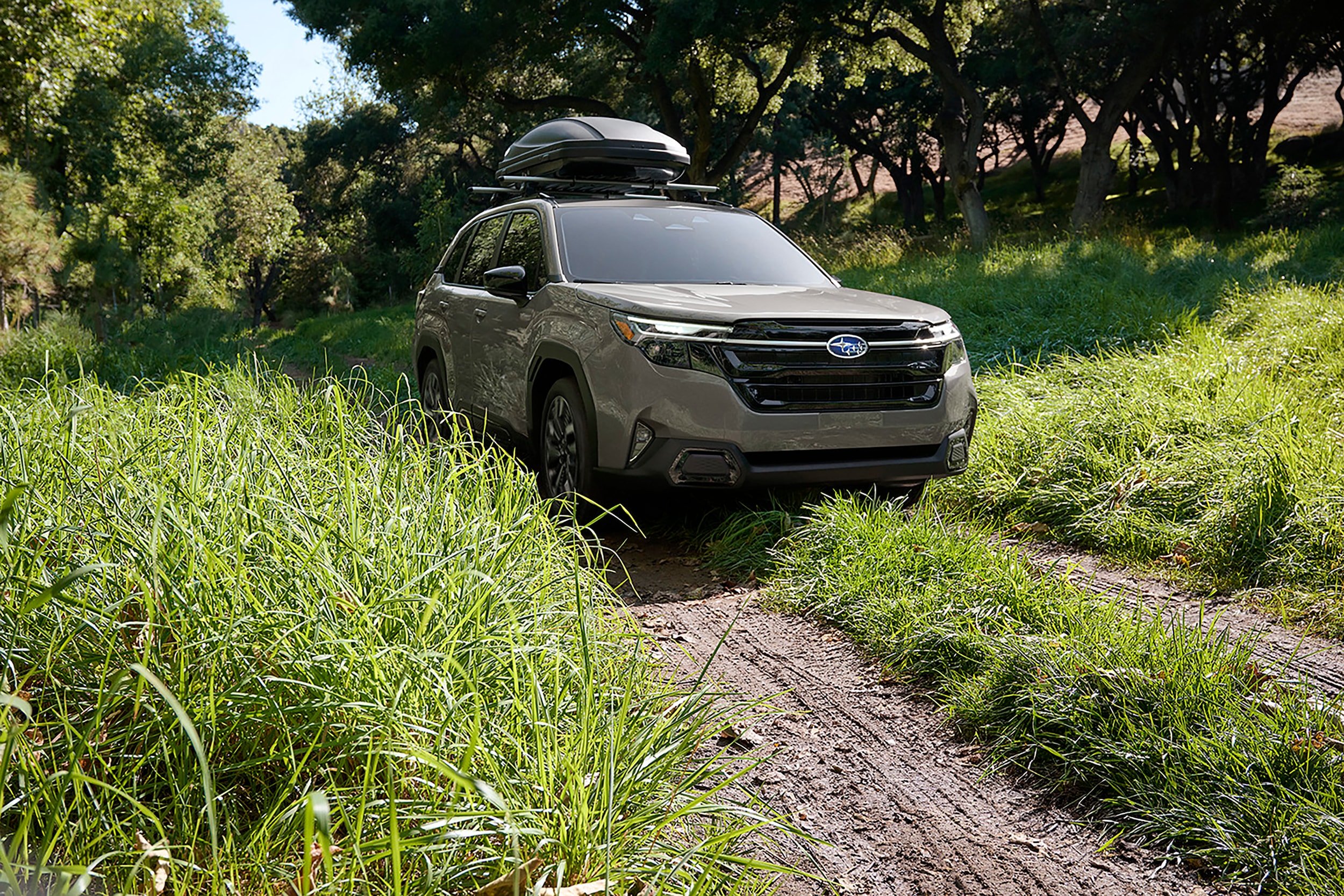 Subaru Forester on trail with deep brush