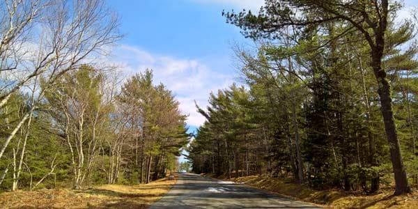 a different part of Acadia National Park on the Park Loop Road