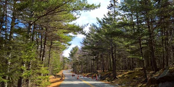 Acadia National Park on the Park Loop Road
