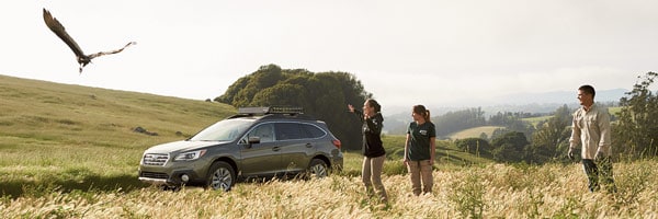 An Outback in rolling hills of tall grass while three people look on at a nearby bird of prey in flight