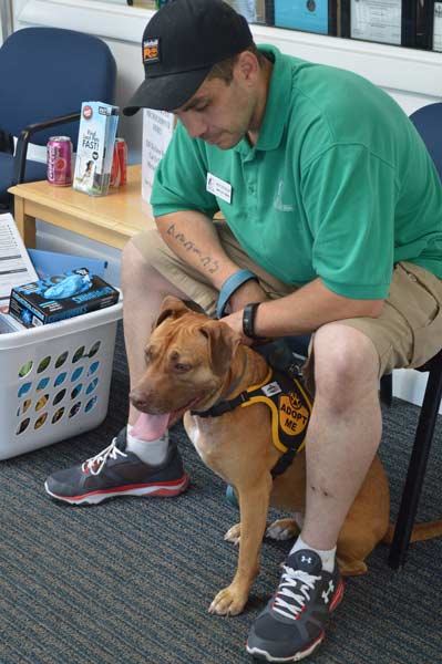 SPCA adoption event Meeka
