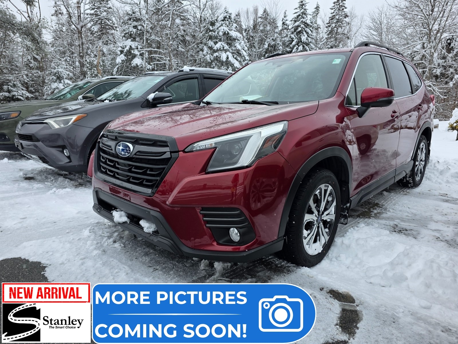 2023 Subaru Forester Limited