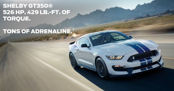 750 Hp Makes Shelbys Terlingua A Serious Mega Muscle Mustang
