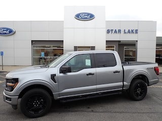 2025 Ford F-150 STX TRUCK