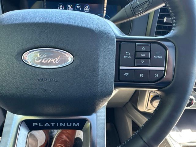 2026 Ford F-250 Super Duty Platinum - Photo 20