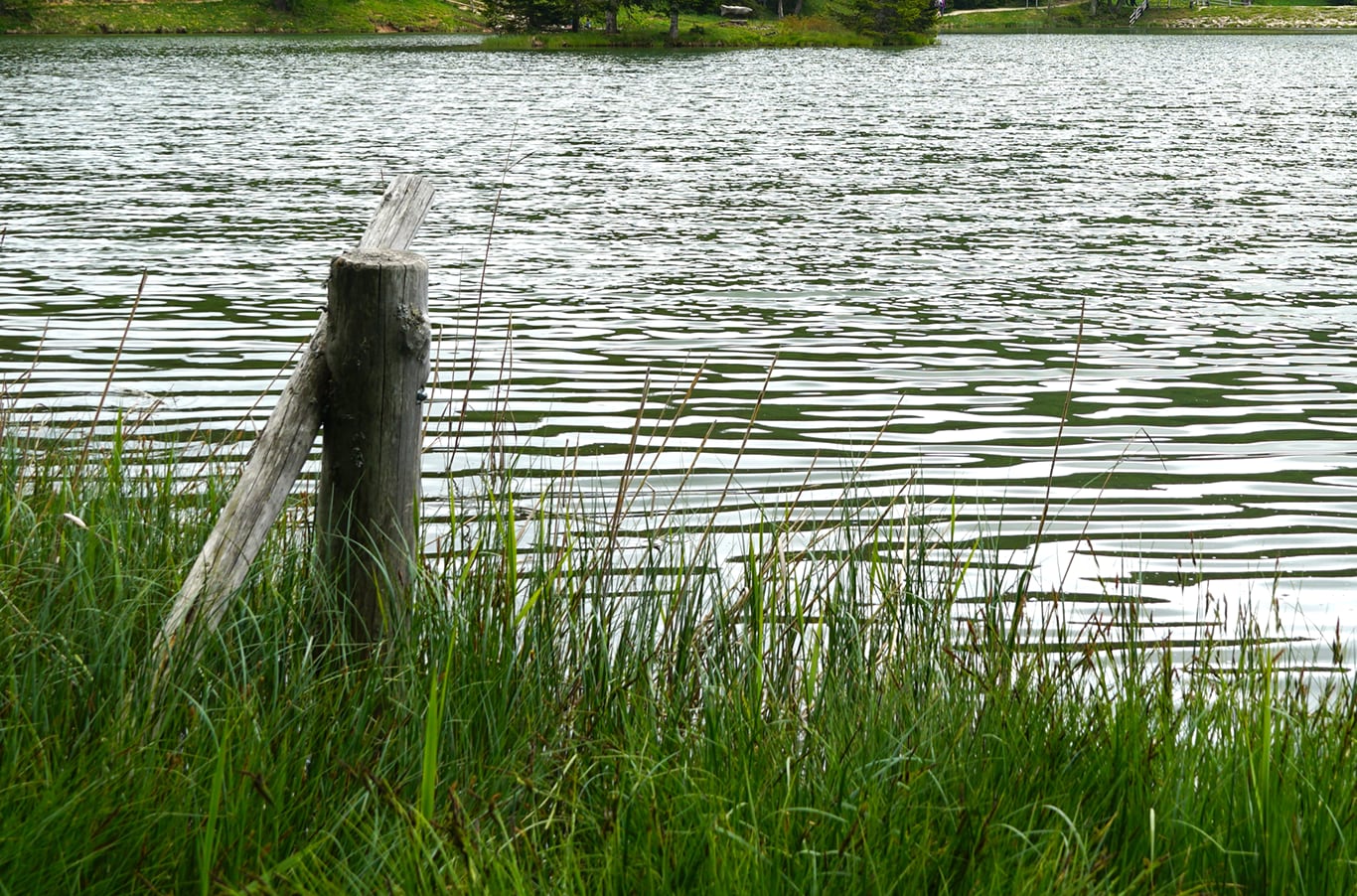Volvo Dealer in Mt Pleasant | Local lake near Mt Pleasant