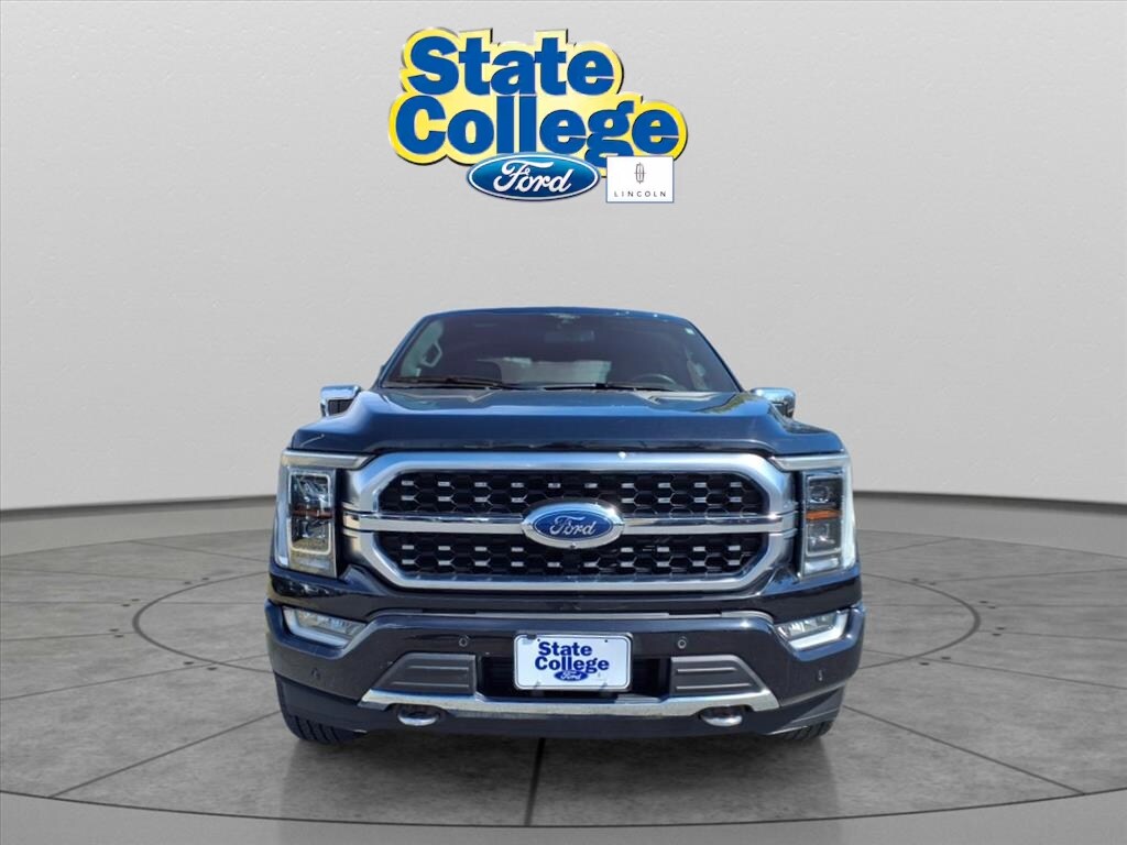 2021 Ford F-150 Platinum photo 2