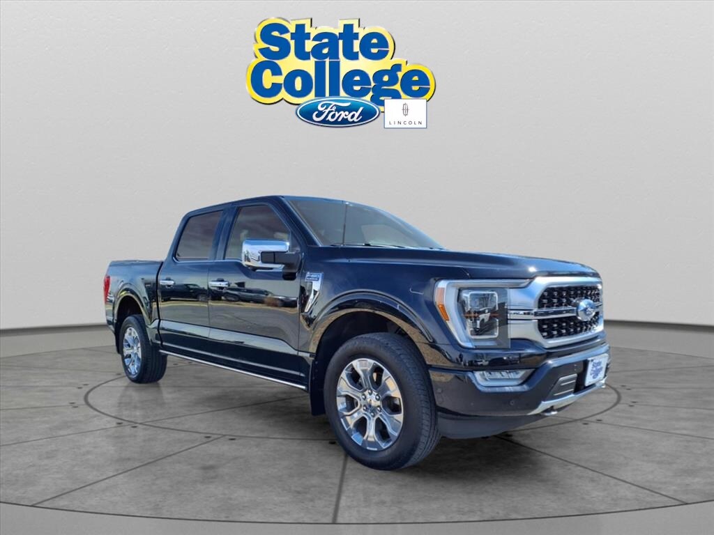 2021 Ford F-150 Platinum photo 3