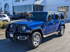2020 Jeep Wrangler Unlimited Sahara Sahara 4x4