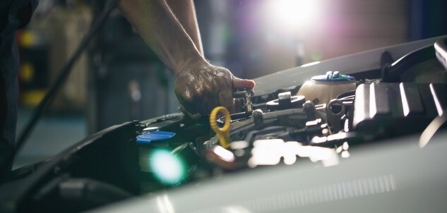auto service and specials