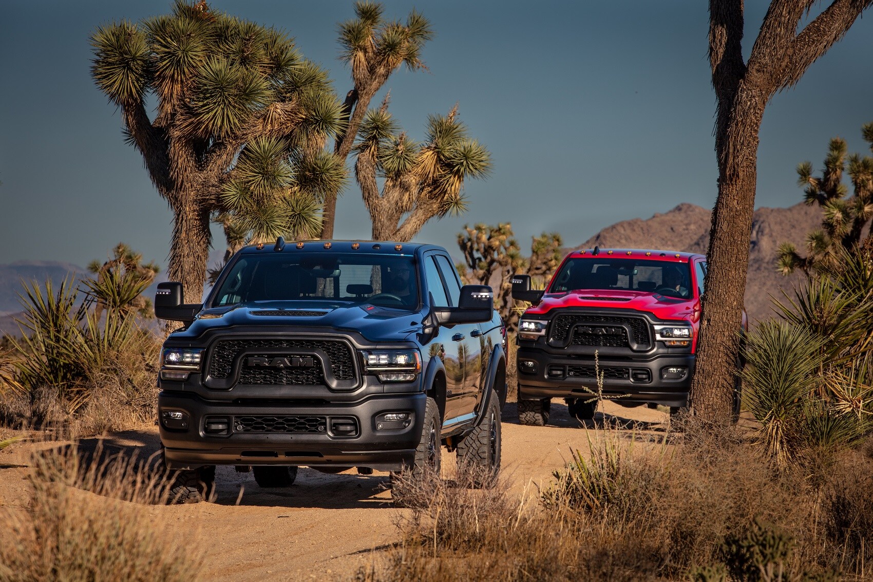 Buying vs Leasing