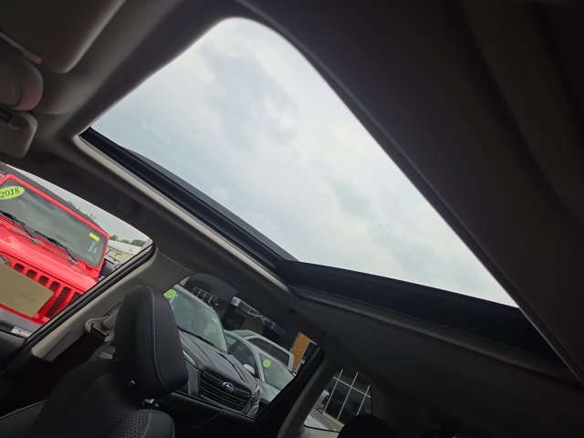 View 84