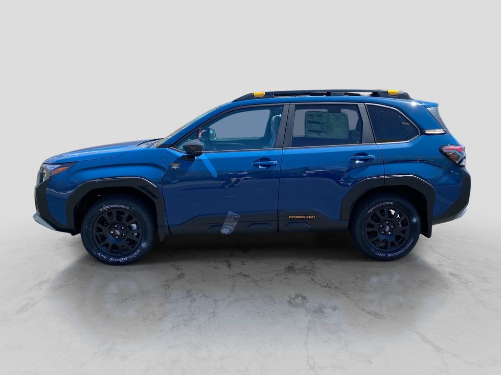 See What The Subaru Wilderness Family Has to Offer at Stateline