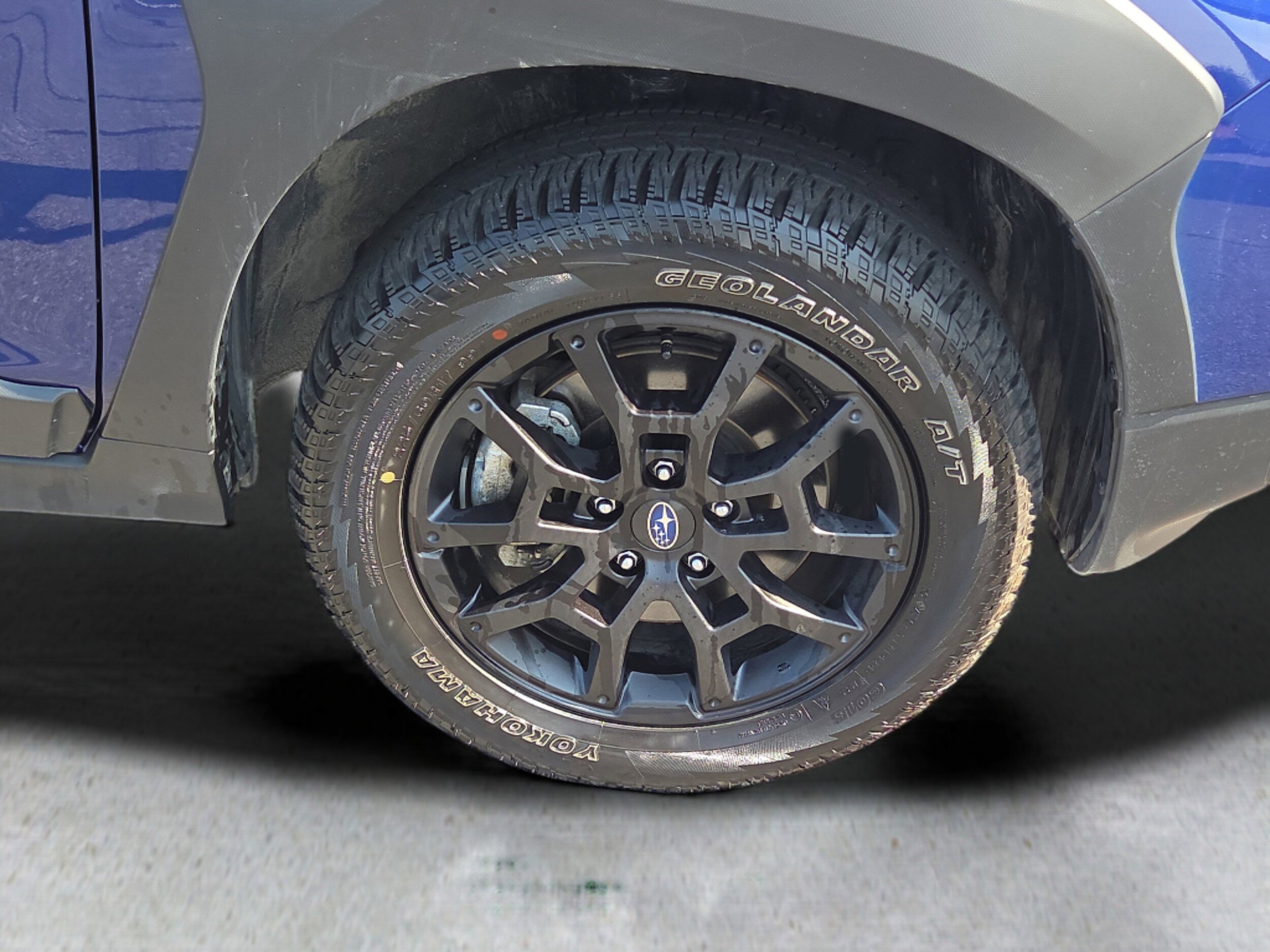 2024 Subaru Crosstrek Wilderness photo 4