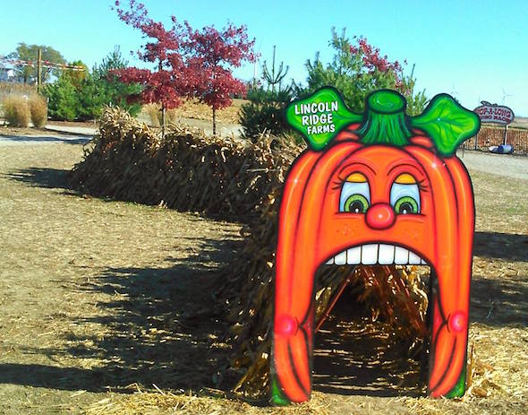 Lincoln Ridge Farms maze