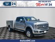 Ford Super Duty F-450 DRW