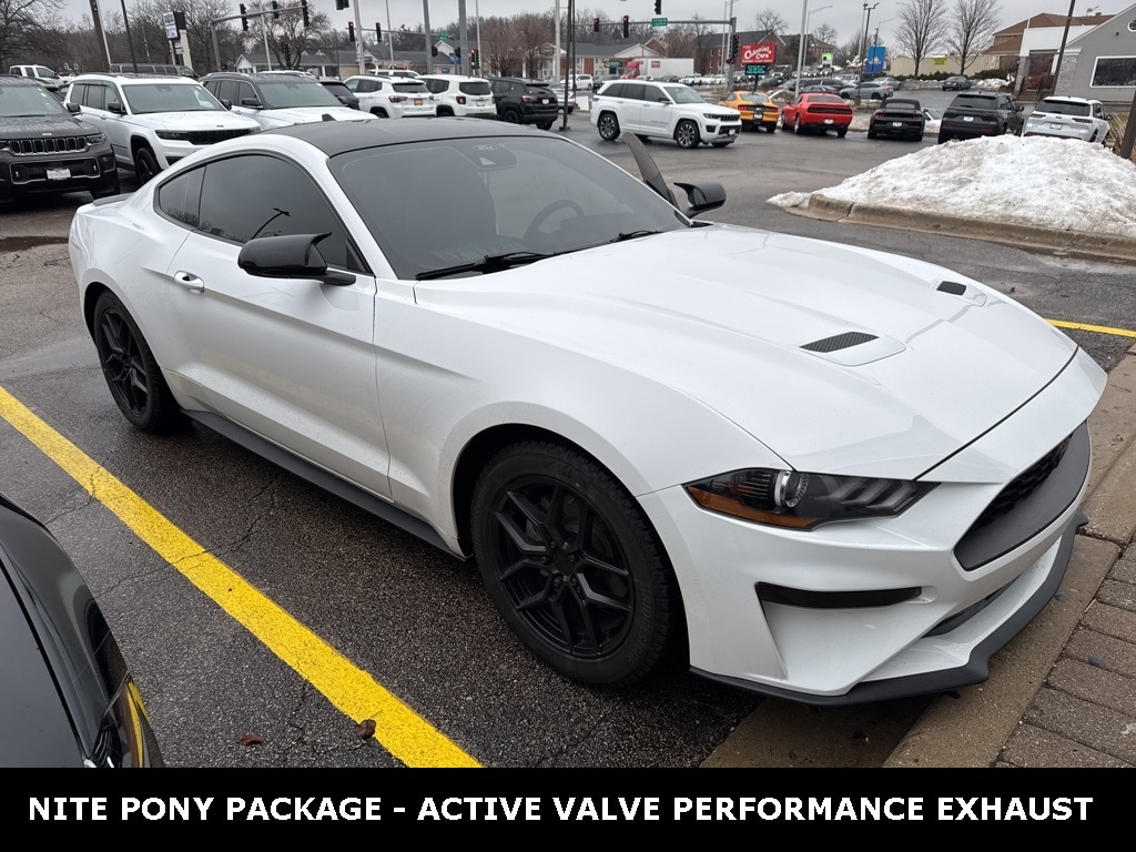 2023 Ford Mustang EcoBoost's photo