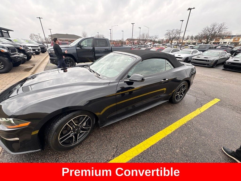 Used 2019 Ford Mustang Convertible