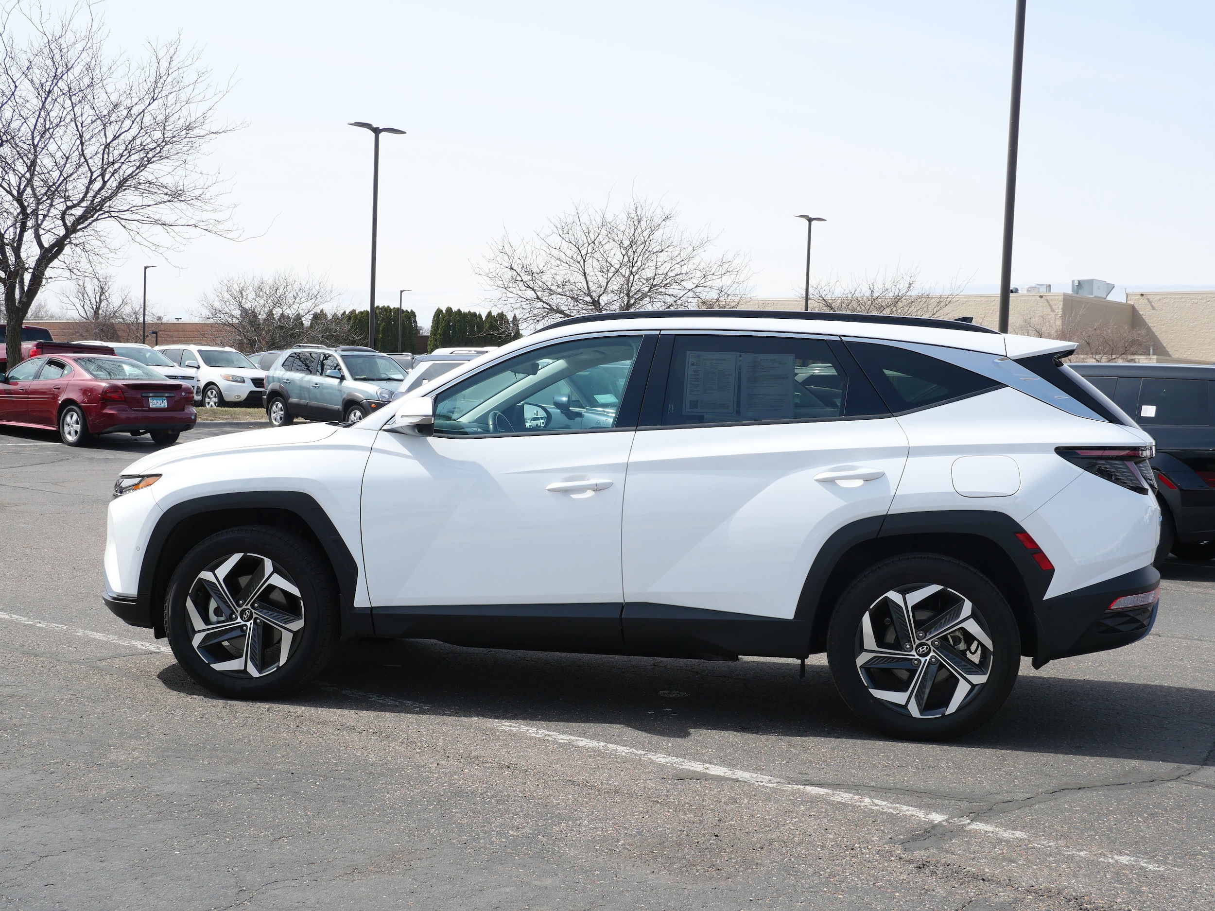Used 2023 Hyundai Tucson Limited with VIN 5NMJECAE9PH263311 for sale in Waite Park, Minnesota