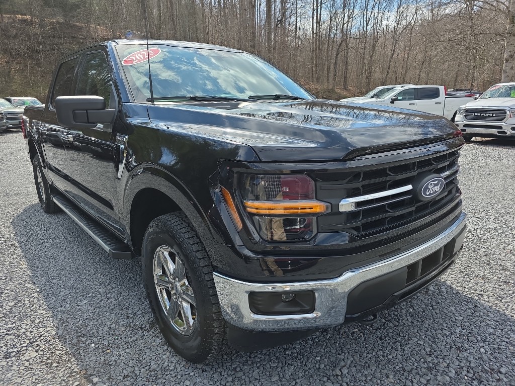 2025 Ford F-150 XLT - Photo 2