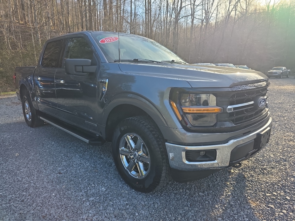 2025 Ford F-150 XLT - Photo 2