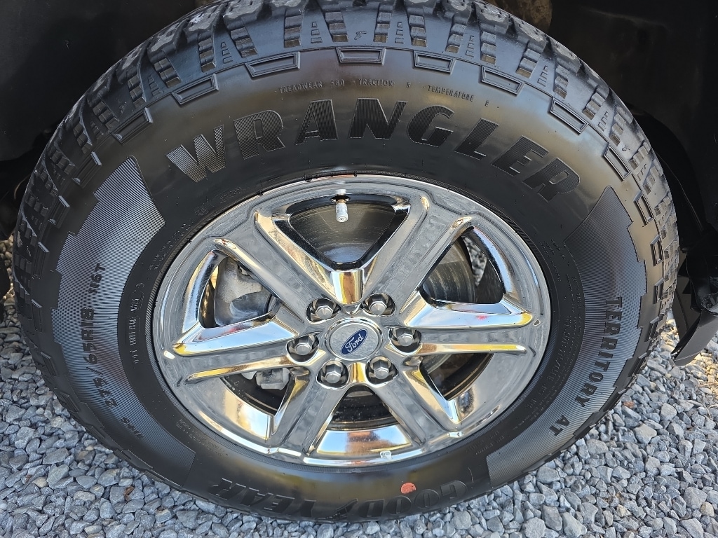 2025 Ford F-150 XLT - Photo 6