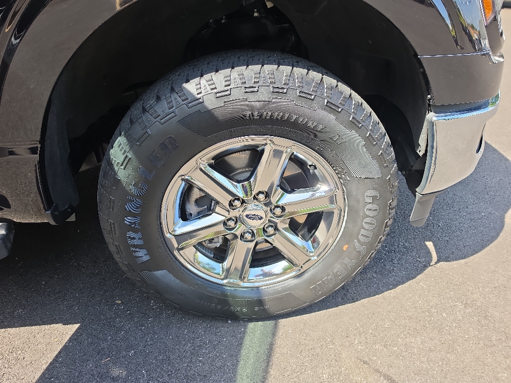 2025 Ford F-150 XLT - Photo 5