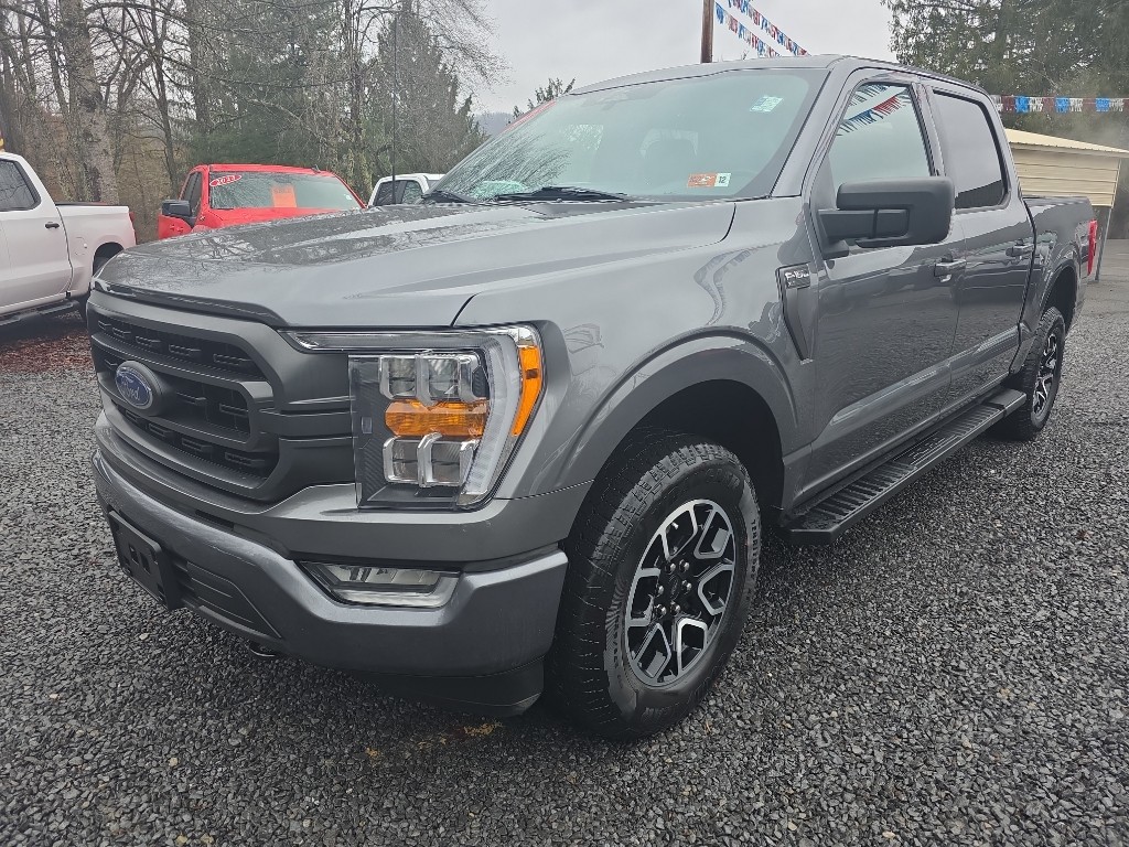 2023 Ford F-150 XL's photo